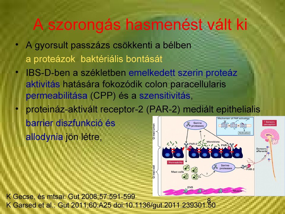 a szensitivitás, proteináz-aktivált receptor-2 (PAR-2) mediált epithelialis barrier diszfunkció és allodynia jön