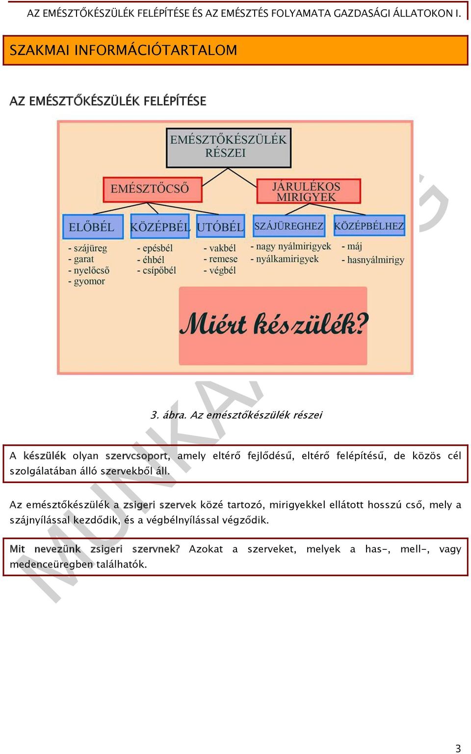 szolgálatában álló szervekből áll.