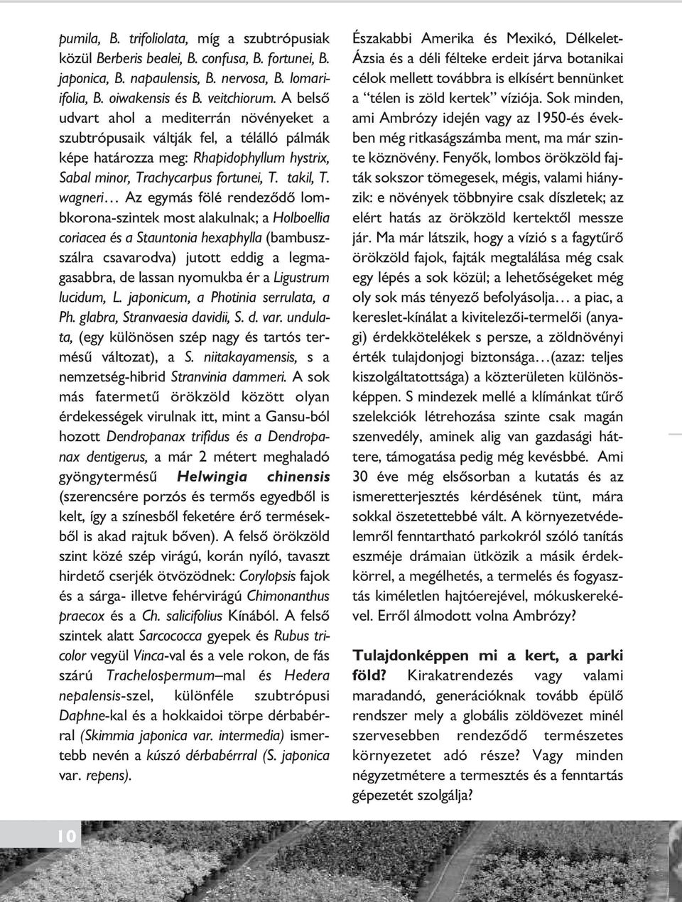 wagneri Az egy más fölé rendezôdô lombkorona-szintek most alakulnak; a Holboellia coriacea és a Stauntonia hexaphylla (bambuszszálra csa va rodva) jutott eddig a legmagasabbra, de lassan nyomukba ér