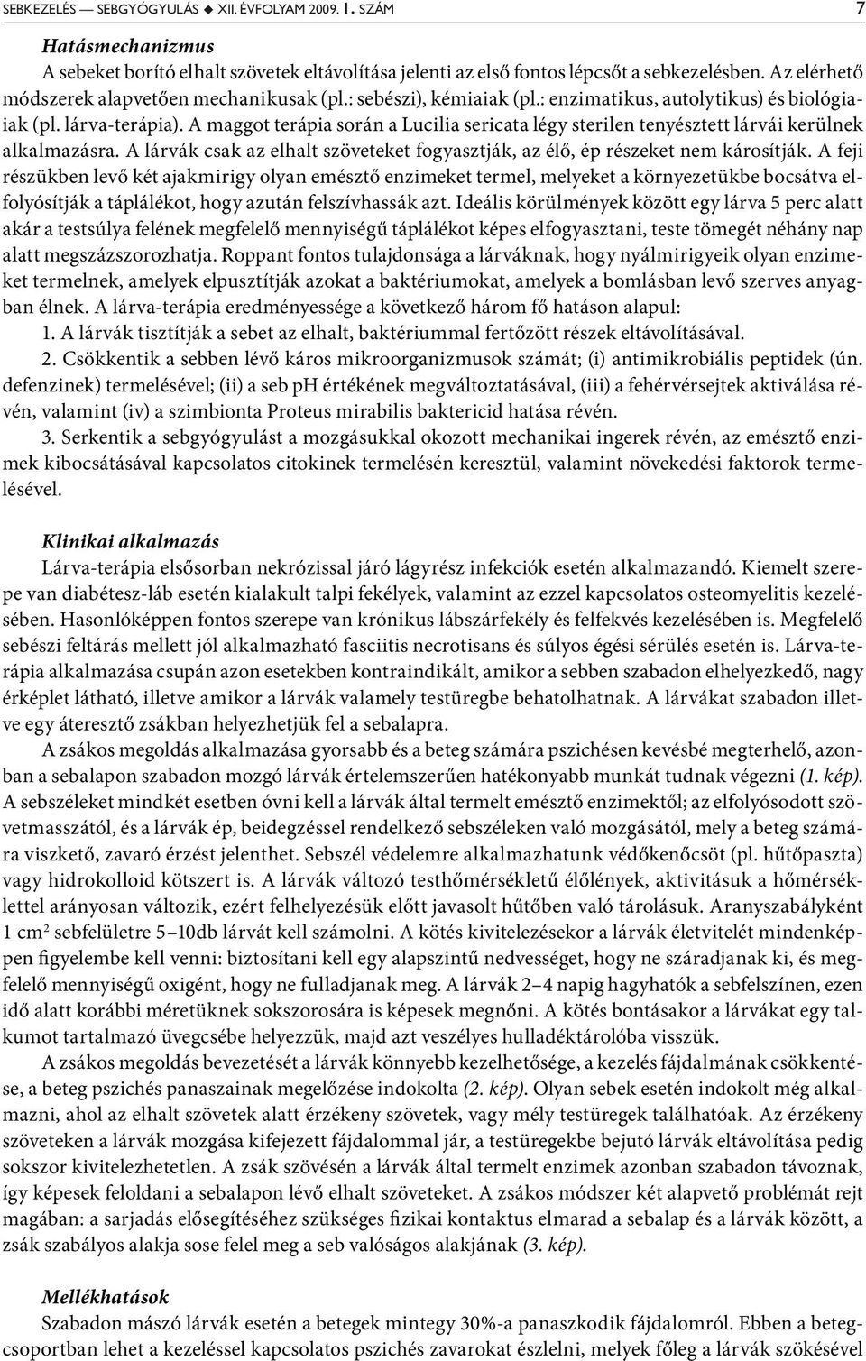 A maggot terápia során a Lucilia sericata légy sterilen tenyésztett lárvái kerülnek alkalmazásra. A lárvák csak az elhalt szöveteket fogyasztják, az élő, ép részeket nem károsítják.