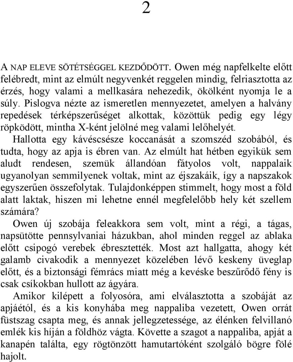 Pislogva nézte az ismeretlen mennyezetet, amelyen a halvány repedések térképszerűséget alkottak, közöttük pedig egy légy röpködött, mintha X-ként jelölné meg valami lelőhelyét.