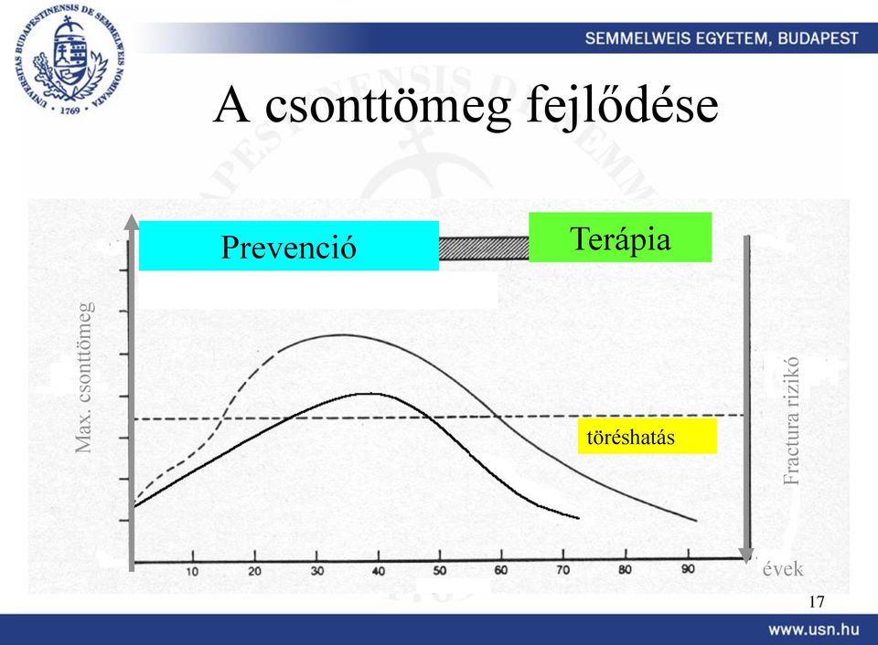 csonttömeg fejlődése