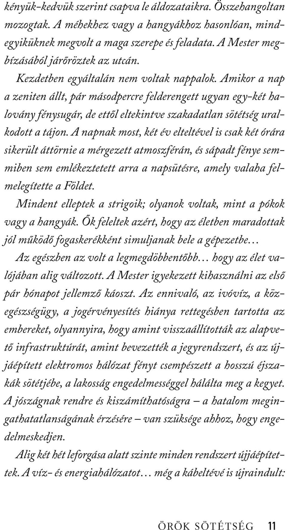 Amikor a nap a zeniten állt, pár másodpercre felderengett ugyan egy-két halovány fénysugár, de ettől eltekintve szakadatlan sötétség uralkodott a tájon.