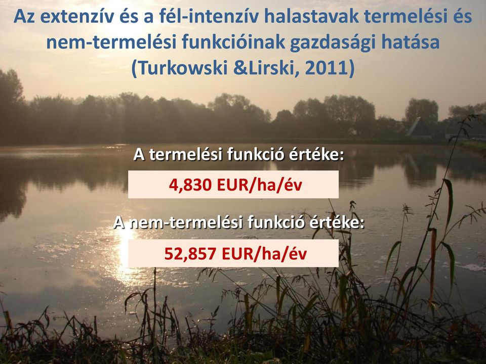 &Lirski, 2011) A termelési funkció értéke: 4,830