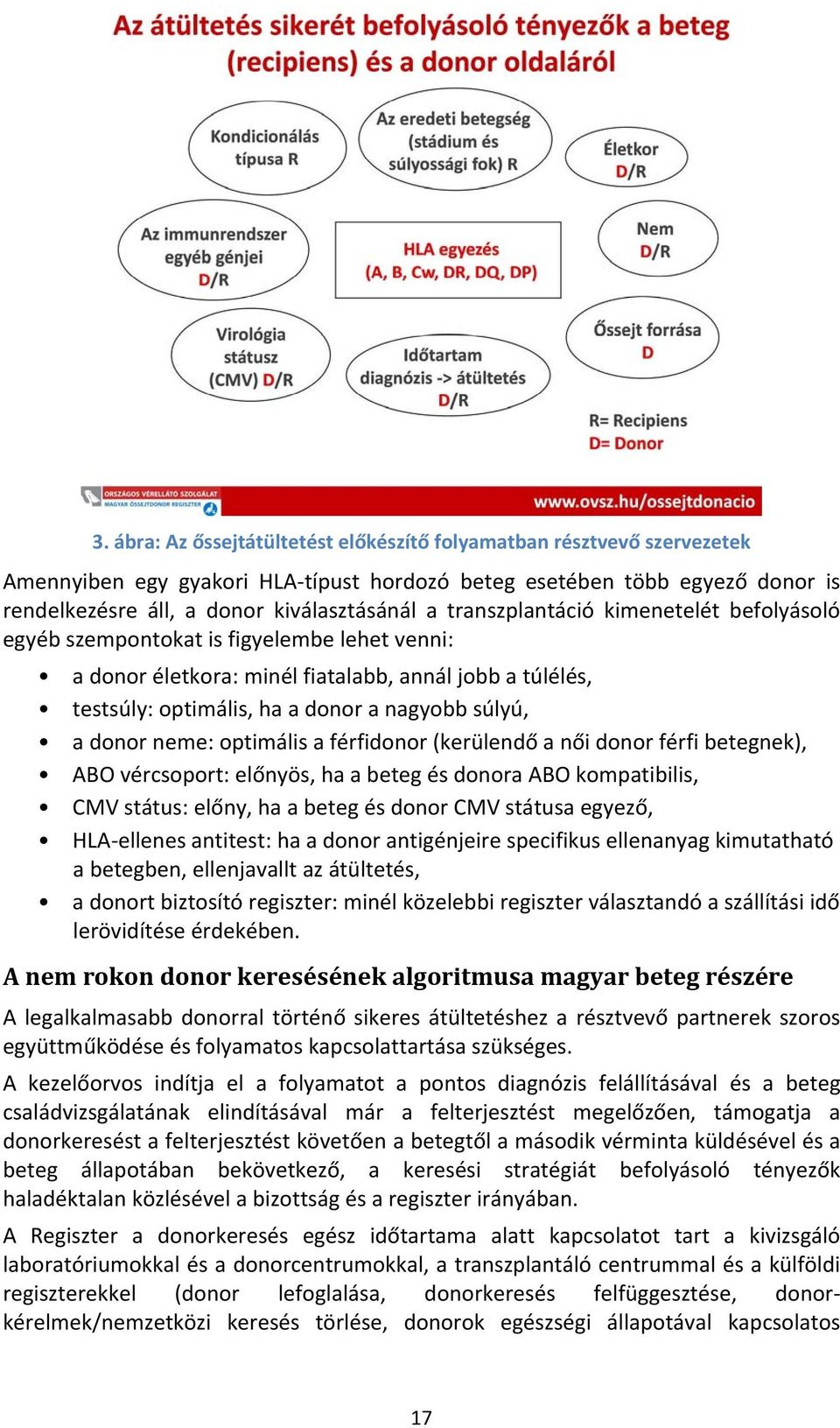 neme: optimális a férfidonor (kerülendő a női donor férfi betegnek), ABO vércsoport: előnyös, ha a beteg és donora ABO kompatibilis, CMV státus: előny, ha a beteg és donor CMV státusa egyező, HLA