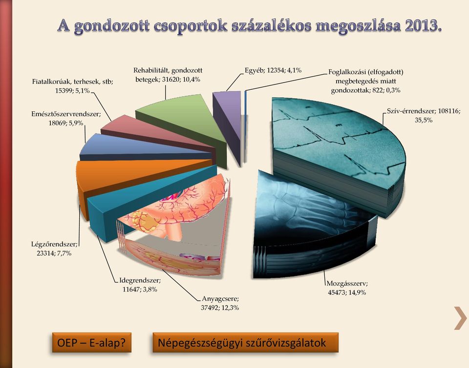 Emésztőszervrendszer; 18069; 5,9% Szív-érrendszer; 108116; 35,5% Légzőrendszer; 23314; 7,7%