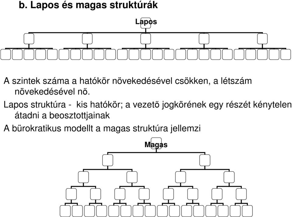 Lapos struktúra - kis hatókör; a vezetı jogkörének egy részét