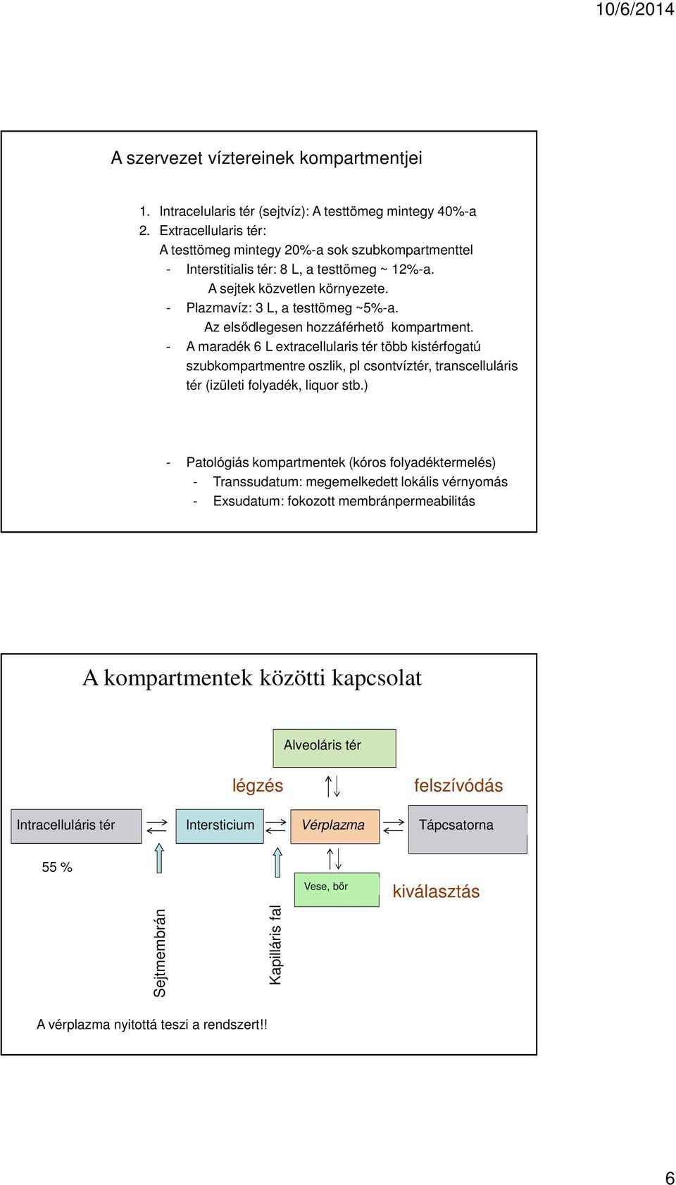 Az elsődlegesen hozzáférhető kompartment. - A maradék 6 L extracellularis tér több kistérfogatú szubkompartmentre oszlik, pl csontvíztér, transcelluláris tér (izületi folyadék, liquor stb.