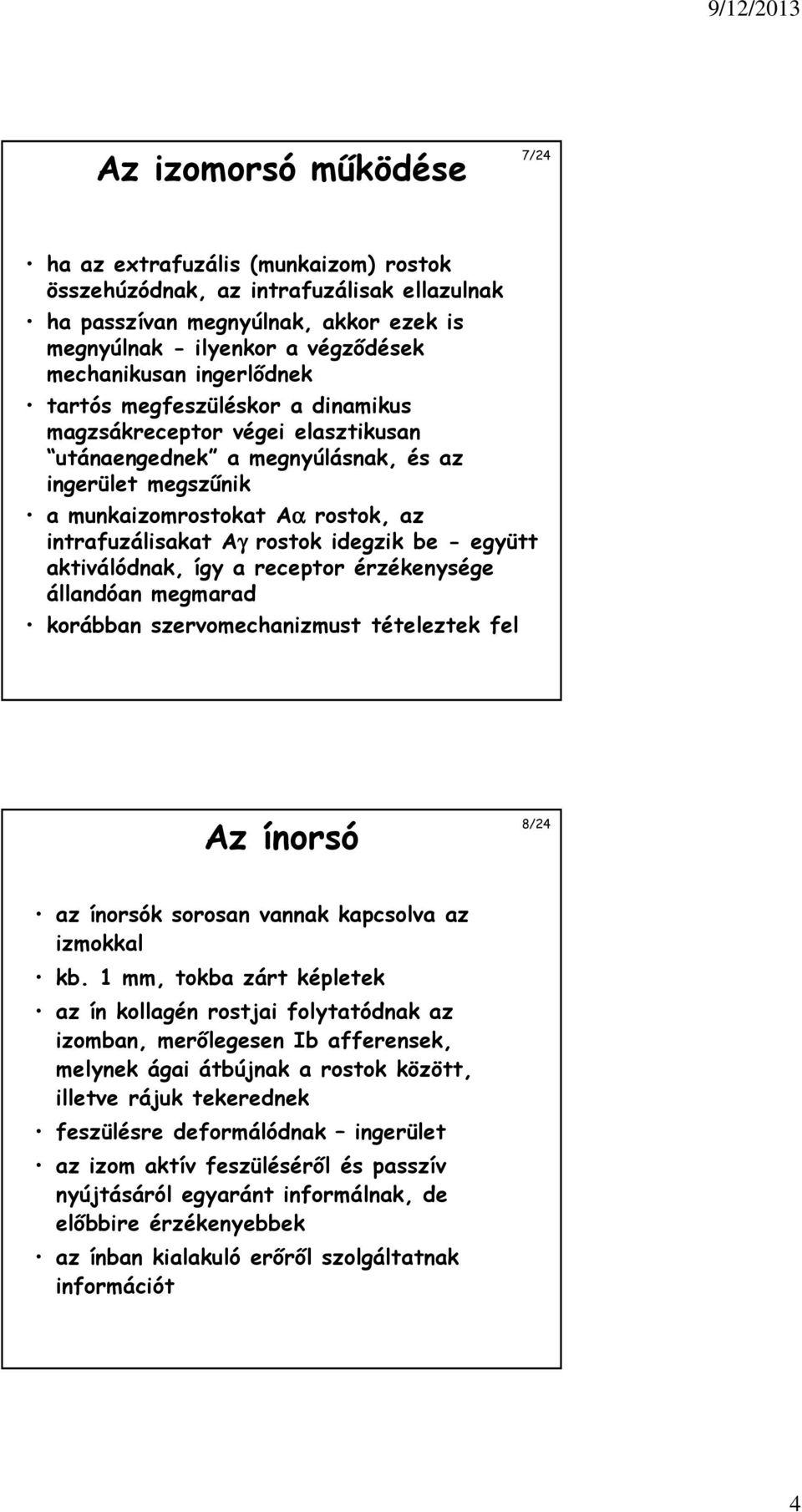 idegzik be - együtt aktiválódnak, így a receptor érzékenysége állandóan megmarad korábban szervomechanizmust tételeztek fel Az ínorsó 8/24 az ínorsók sorosan vannak kapcsolva az izmokkal kb.