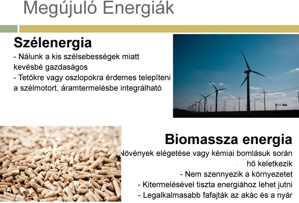 Biomassza energia - Növények elégetése vagy kémiai bomlásuk során - hő keletkezik - Nem