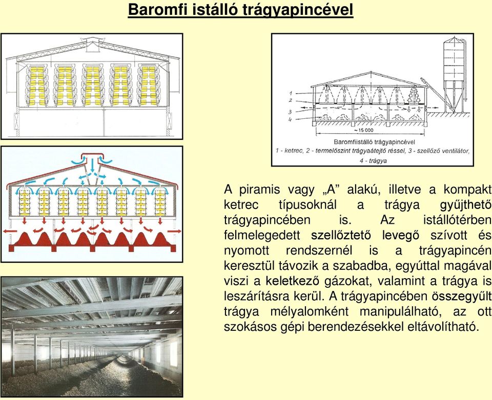 Az istállótérben felmelegedett szellőztető levegő szívott és nyomott rendszernél is a trágyapincén keresztül