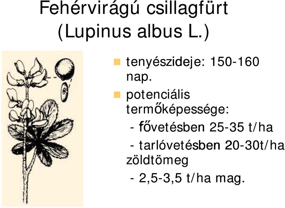 potenciális term képessége: - f vetésben