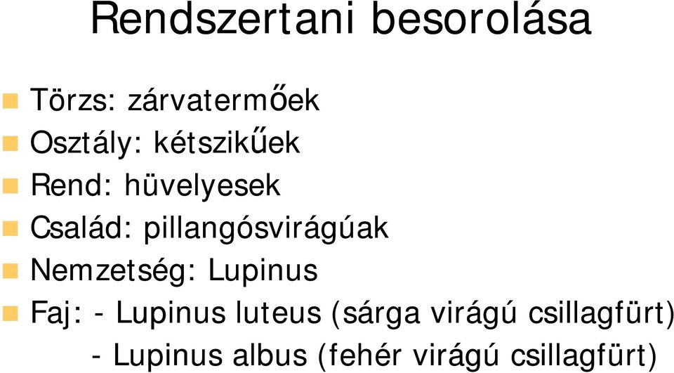 Nemzetség: Lupinus Faj: - Lupinus luteus (sárga virágú