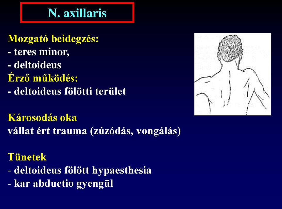 Károsodás oka vállat ért trauma (zúzódás, vongálás)