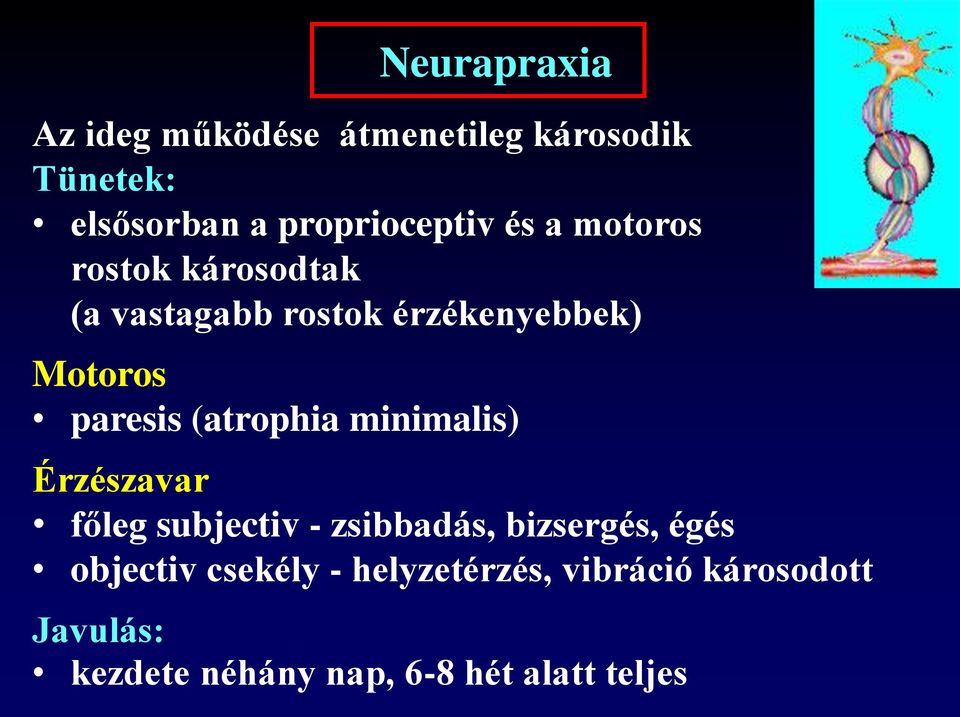 (atrophia minimalis) Érzészavar főleg subjectiv - zsibbadás, bizsergés, égés objectiv