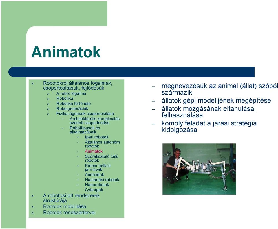 nélküli járművek Androidok Háztartási Nano Cyborgok megnevezésük az animal (állat) szóból származik állatok