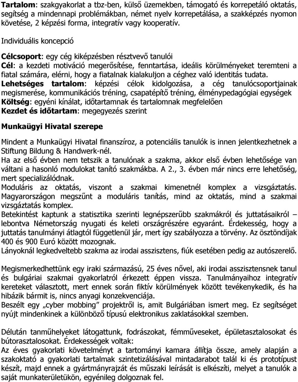 Individuális koncepció Célcsoport: egy cég kiképzésben résztvevő tanulói Cél: a kezdeti motiváció megerősítése, fenntartása, ideális körülményeket teremteni a fiatal számára, elérni, hogy a fiatalnak