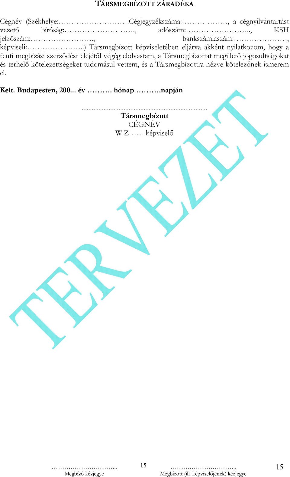 .) Társmegbízott képviseletében eljárva akként nyilatkozom, hogy a fenti megbízási szerződést elejétől végég elolvastam, a