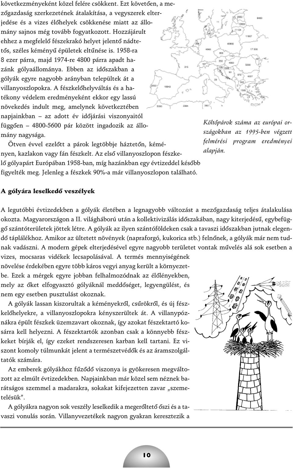 Hozzájárult ehhez a megfelelô fészekrakó helyet jelentô nádtetôs, széles kéményû épületek eltûnése is. 1958-ra 8 ezer párra, majd 1974-re 4800 párra apadt hazánk gólyaállománya.