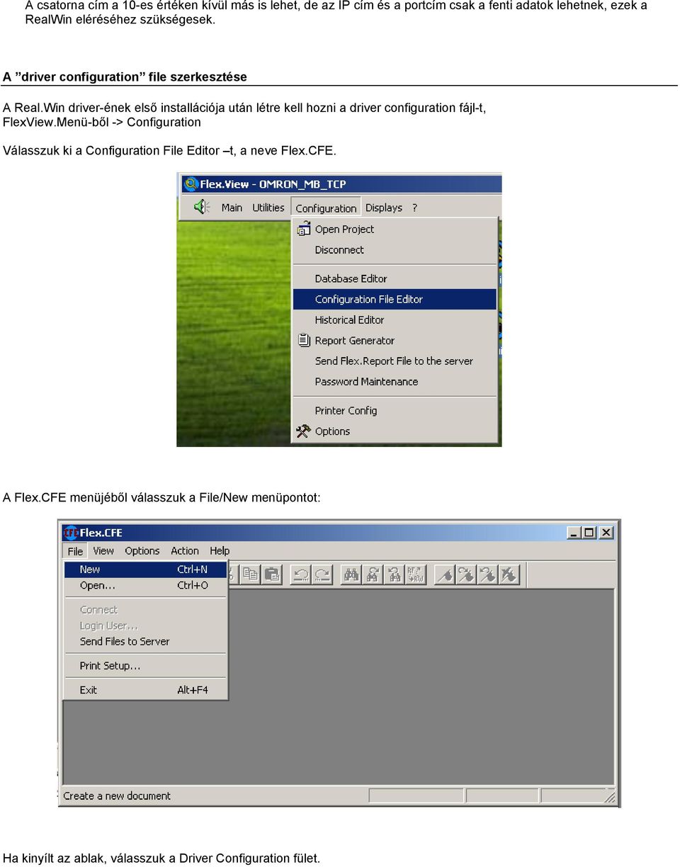 Win driver-ének első installációja után létre kell hozni a driver configuration fájl-t, FlexView.