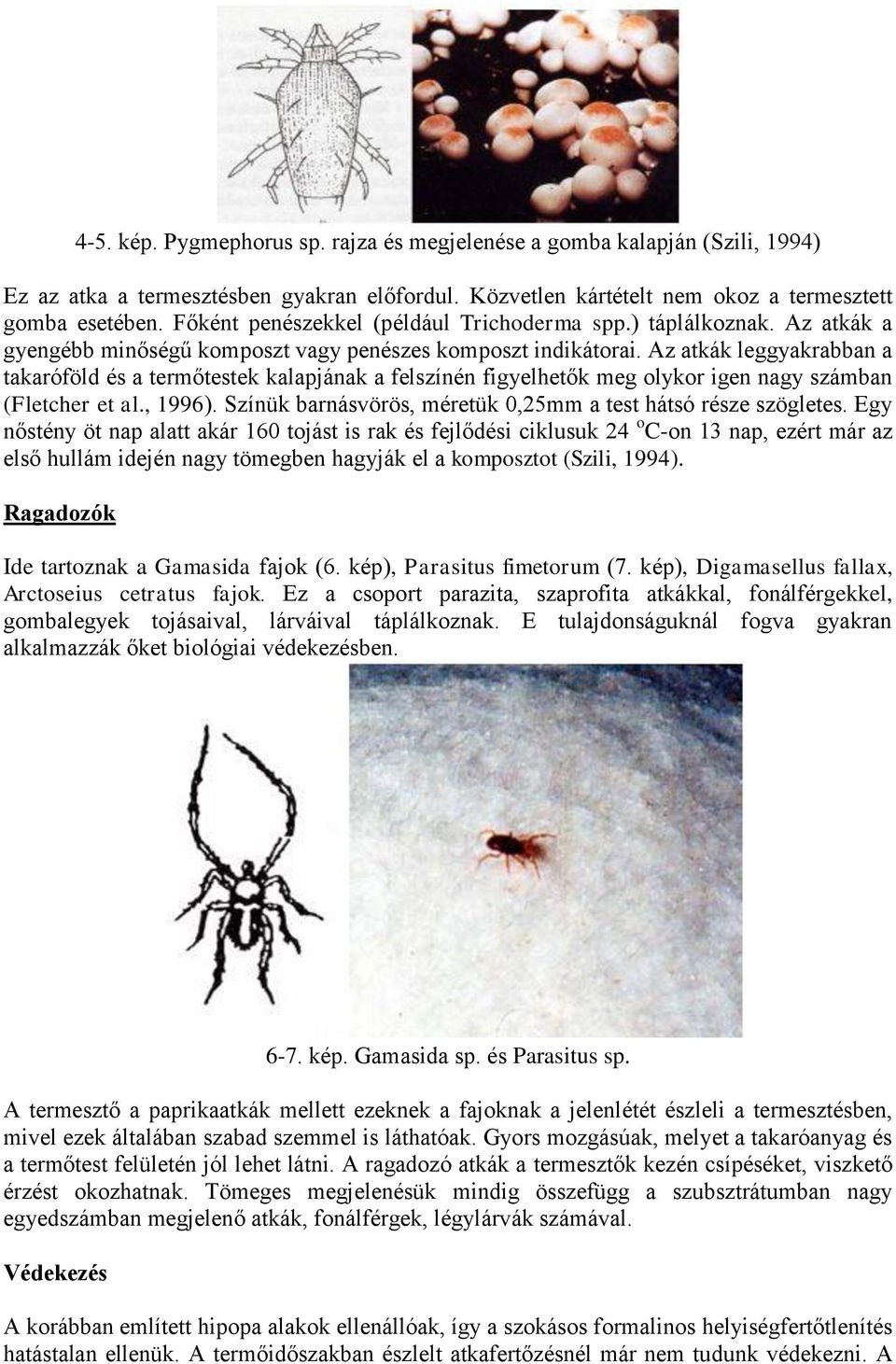 Az atkák leggyakrabban a takaróföld és a termőtestek kalapjának a felszínén figyelhetők meg olykor igen nagy számban (Fletcher et al., 1996).