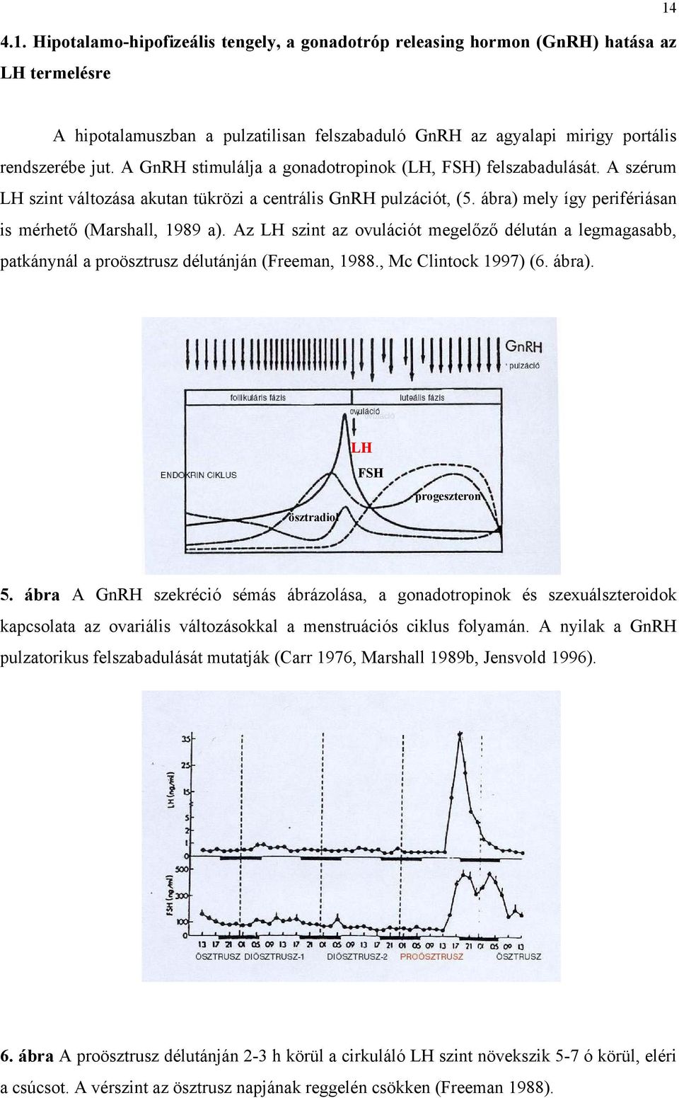 Az LH szint az ovulációt megelőző délután a legmagasabb, patkánynál a proösztrusz délutánján (Freeman, 1988., Mc Clintock 1997) (6. ábra). ösztradiol LH FSH progeszteron 5.