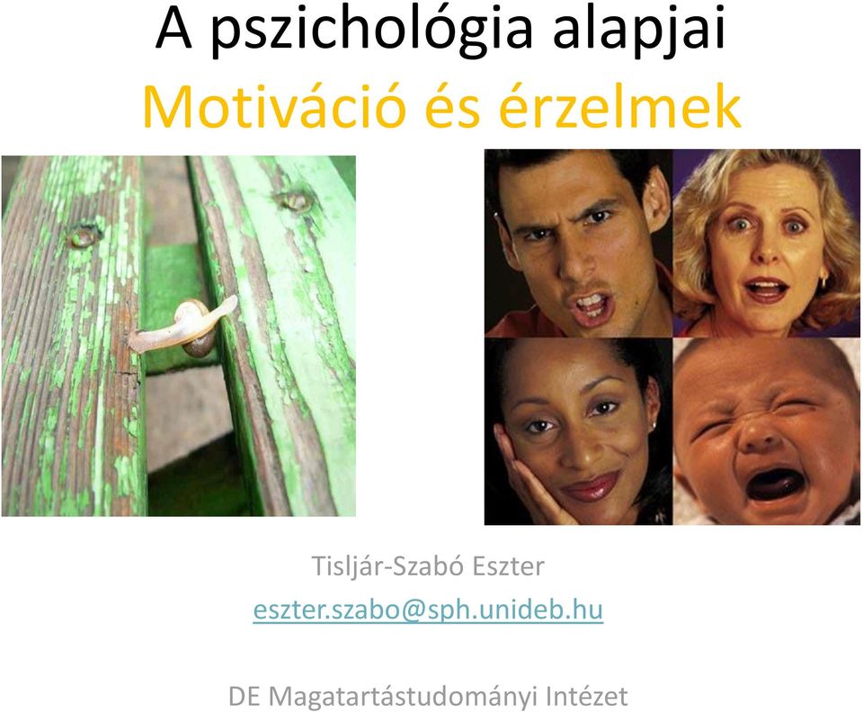 Tisljár-Szabó Eszter eszter.