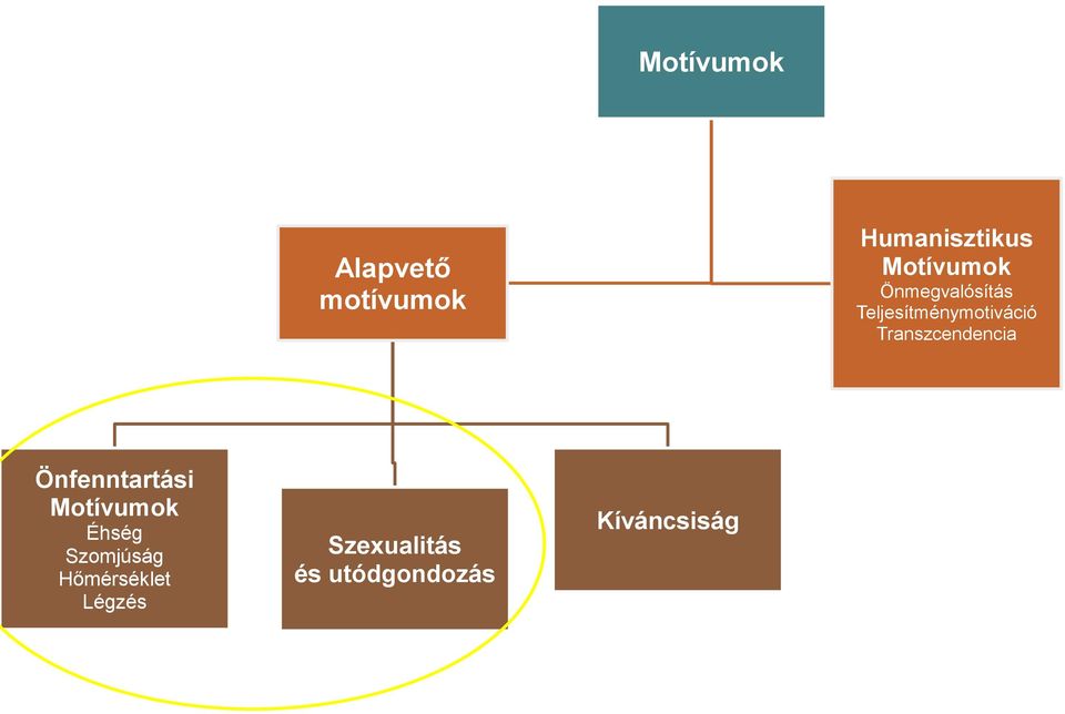 Transzcendencia Önfenntartási Motívumok Éhség