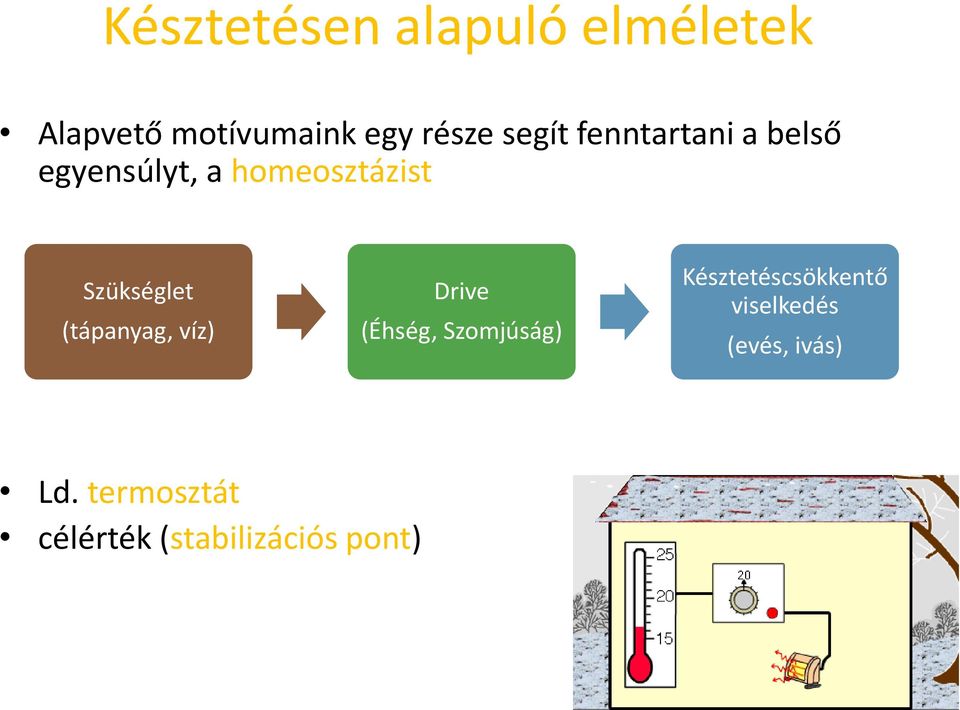 Szükséglet (tápanyag, víz) Drive (Éhség, Szomjúság)