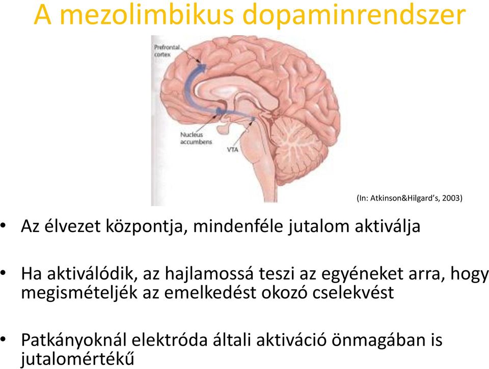 hajlamossá teszi az egyéneket arra, hogy megismételjék az emelkedést