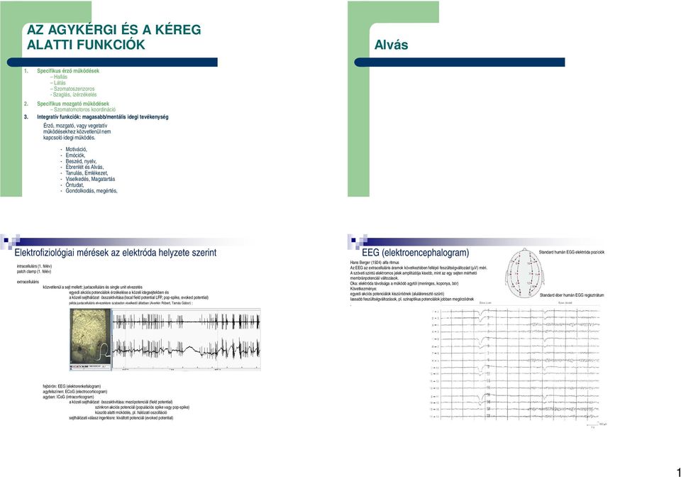 Motiváció, Emóciók, Beszéd, nyelv, Ébrenlét és Alvás, Tanulás, Emlékezet, Viselkedés, Magatartás Öntudat, Gondolkodás, megértés, Elektrofiziológiai mérések az elektróda helyzete szerint