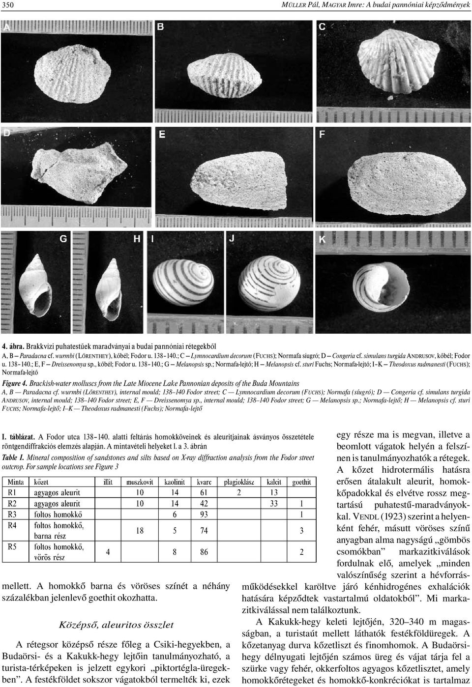 ; Normafa-lejtő; H Melanopsis cf. sturi Fuchs; Normafa-lejtő; I K Theodoxus radmanesti (FUCHS); Normafa-lejtő Figure 4.