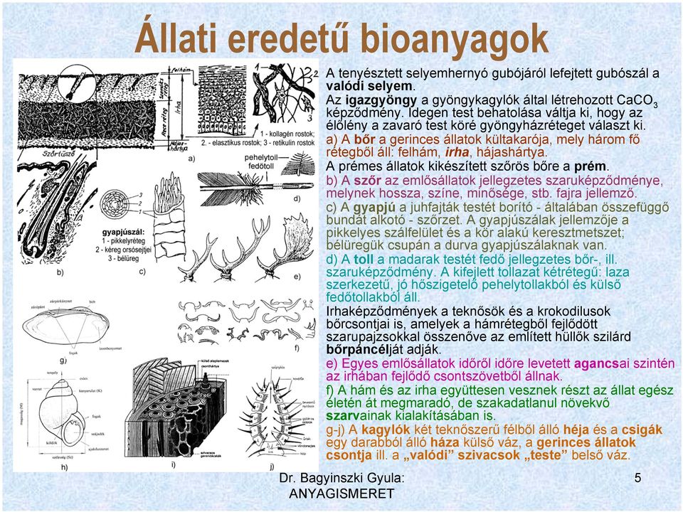 A prémes állatok kikészített szőrös bőre a prém. b) A szőr az emlősállatok jellegzetes szaruképződménye, melynek hossza, színe, minősége, stb. fajra jellemző.