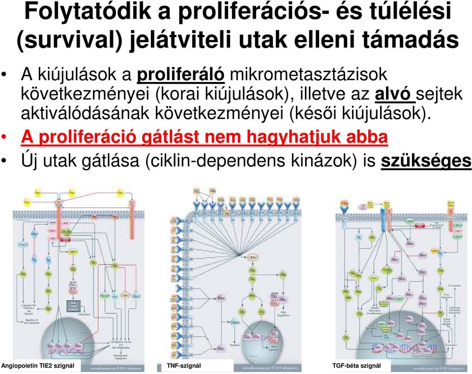 aktiválódásának következményei (késői kiújulások).