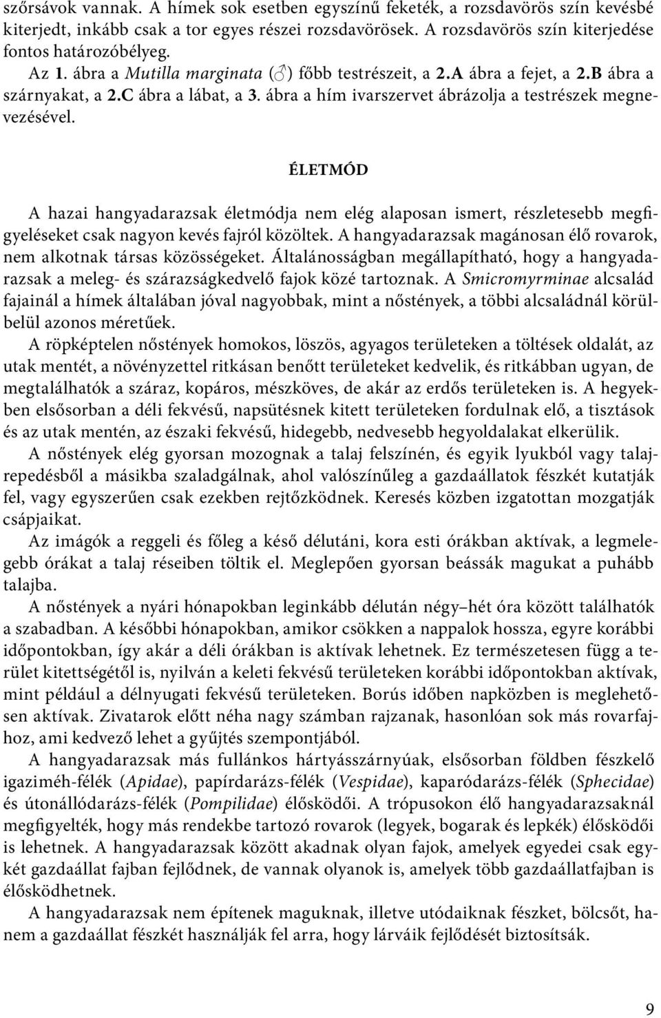 ÉLETMÓD A hazai hangyadarazsak életmódja nem elég alaposan ismert, részletesebb megfigyeléseket csak nagyon kevés fajról közöltek.