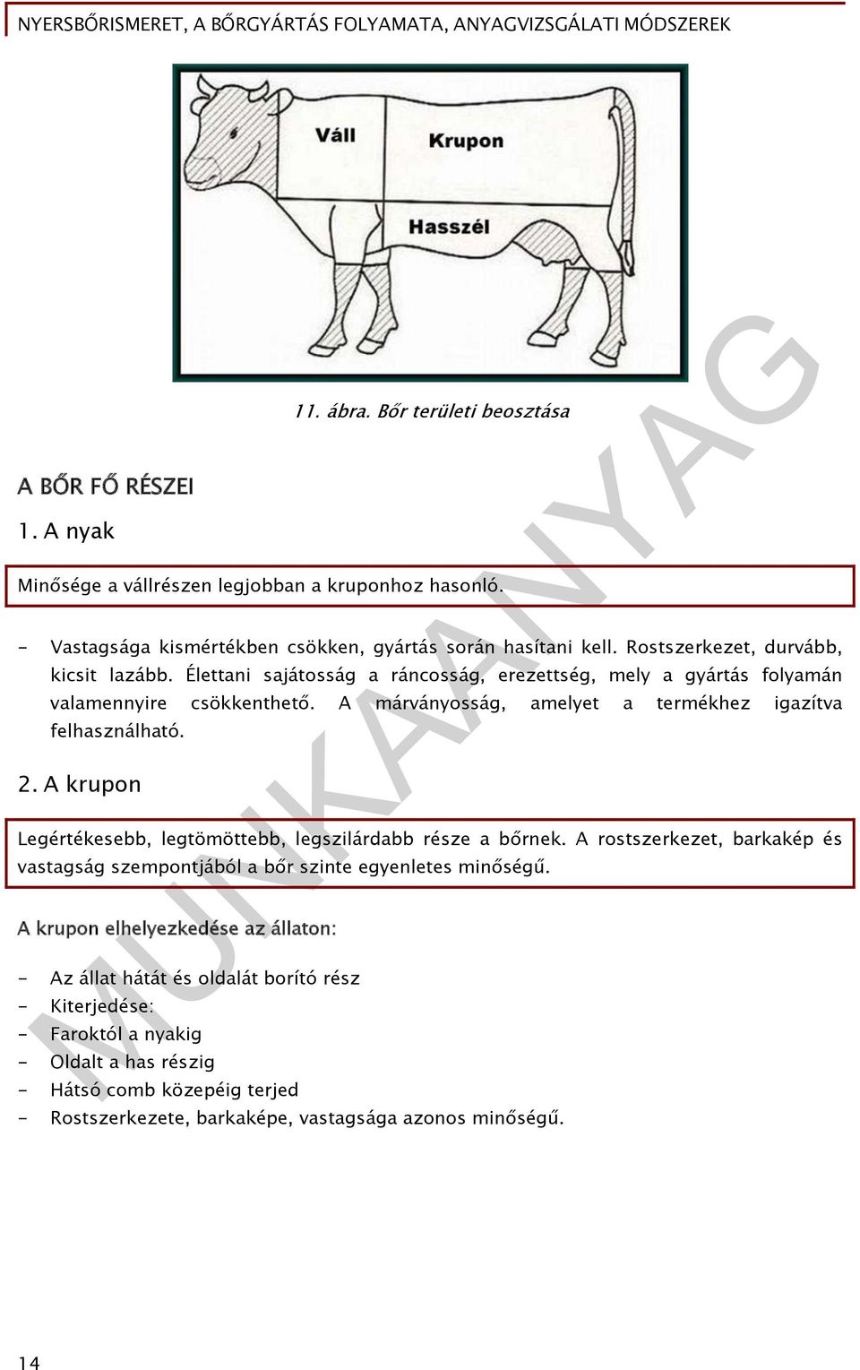 A márványosság, amelyet a termékhez igazítva felhasználható. 2. A krupon Legértékesebb, legtömöttebb, legszilárdabb része a bőrnek.