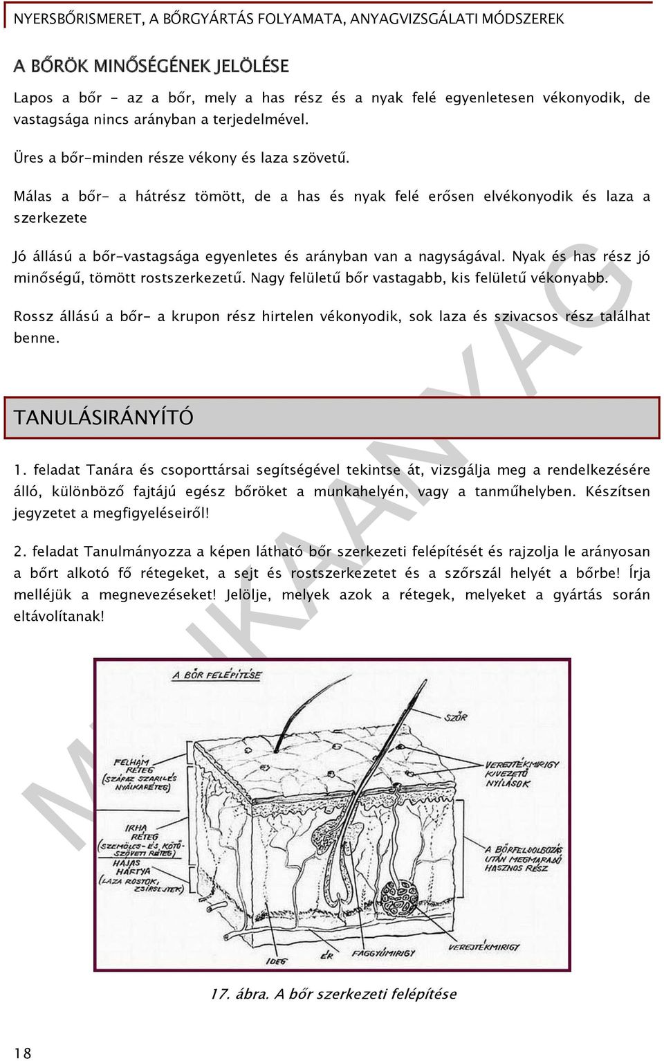 Málas a bőr- a hátrész tömött, de a has és nyak felé erősen elvékonyodik és laza a szerkezete Jó állású a bőr-vastagsága egyenletes és arányban van a nagyságával.