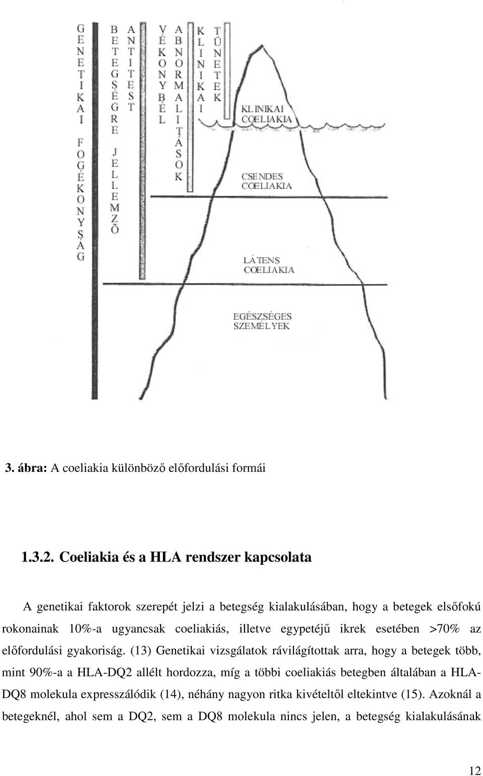 coeliakiás, illetve egypetéjű ikrek esetében >70% az előfordulási gyakoriság.