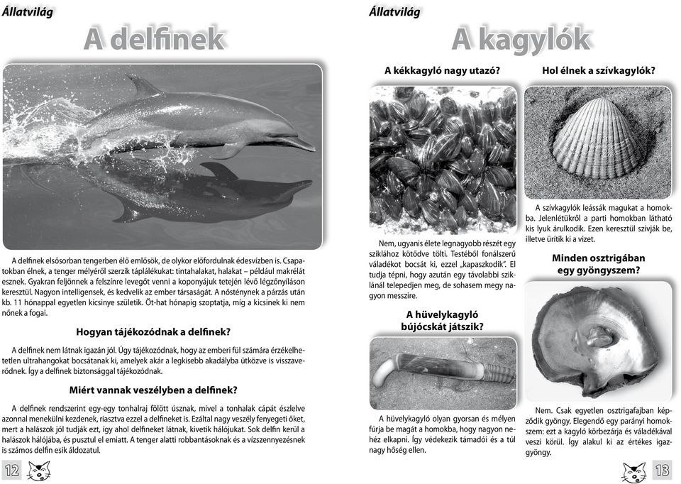 Nagyon intelligensek, és kedvelik az ember társaságát. A nősténynek a párzás után kb. 11 hónappal egyetlen kicsinye születik. Öt-hat hónapig szoptatja, míg a kicsinek ki nem nőnek a fogai.