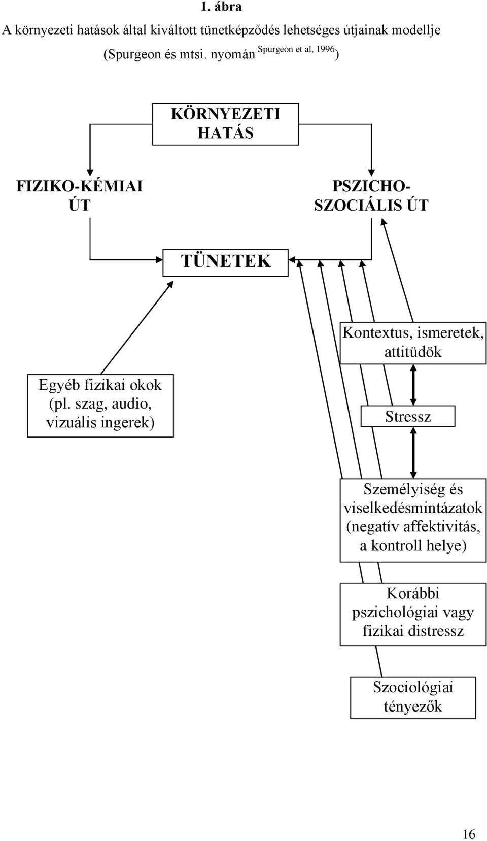 ismeretek, attitüdök Egyéb fizikai okok (pl.