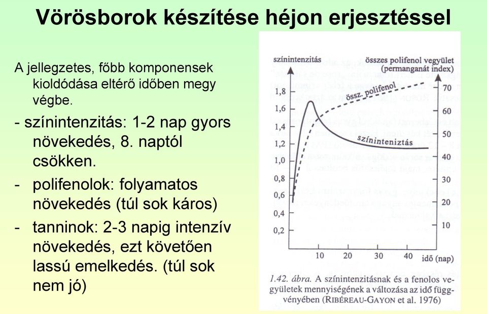 - színintenzitás: 1-2 nap gyors növekedés, 8. naptól csökken.