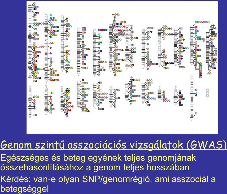 összehasonlításához a genom teljes hosszában