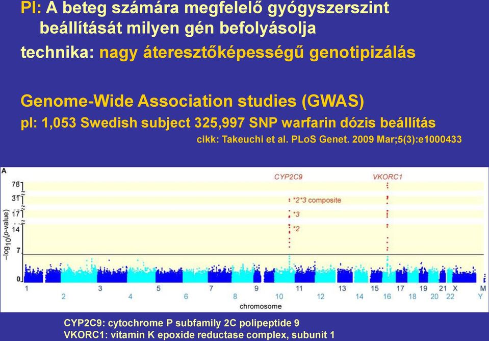 325,997 SNP warfarin dózis beállítás cikk: Takeuchi et al. PLoS Genet.