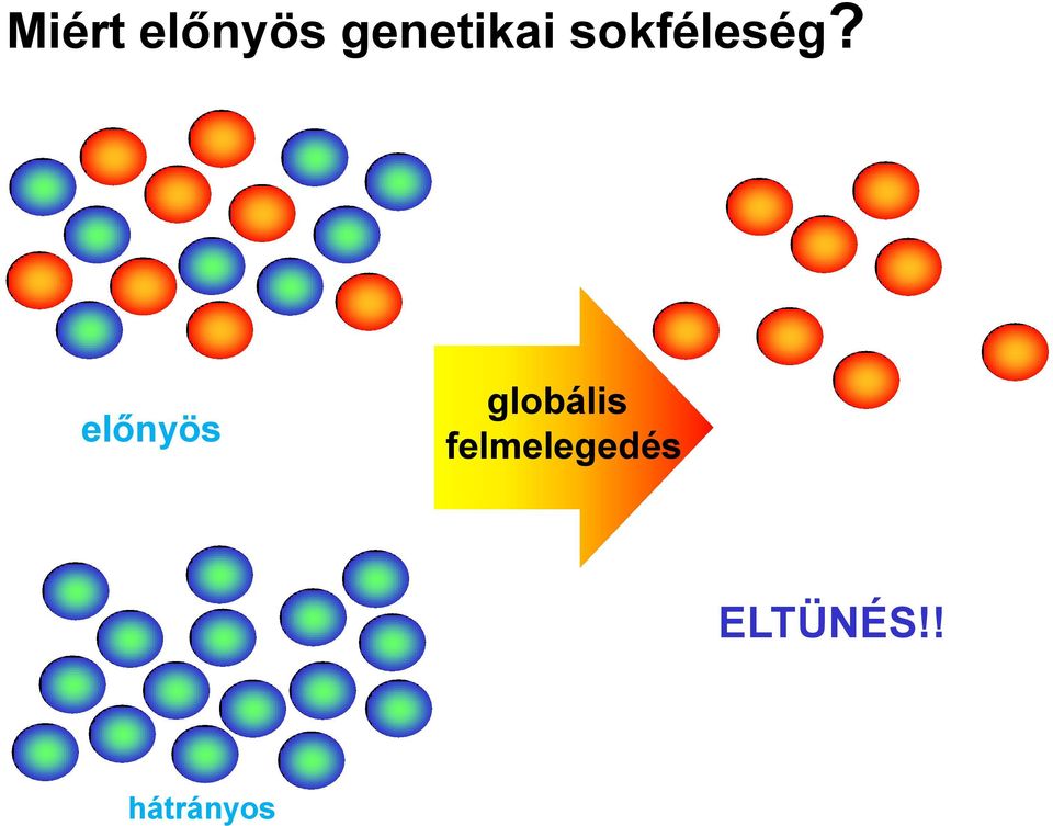 no hátrányos előnyös