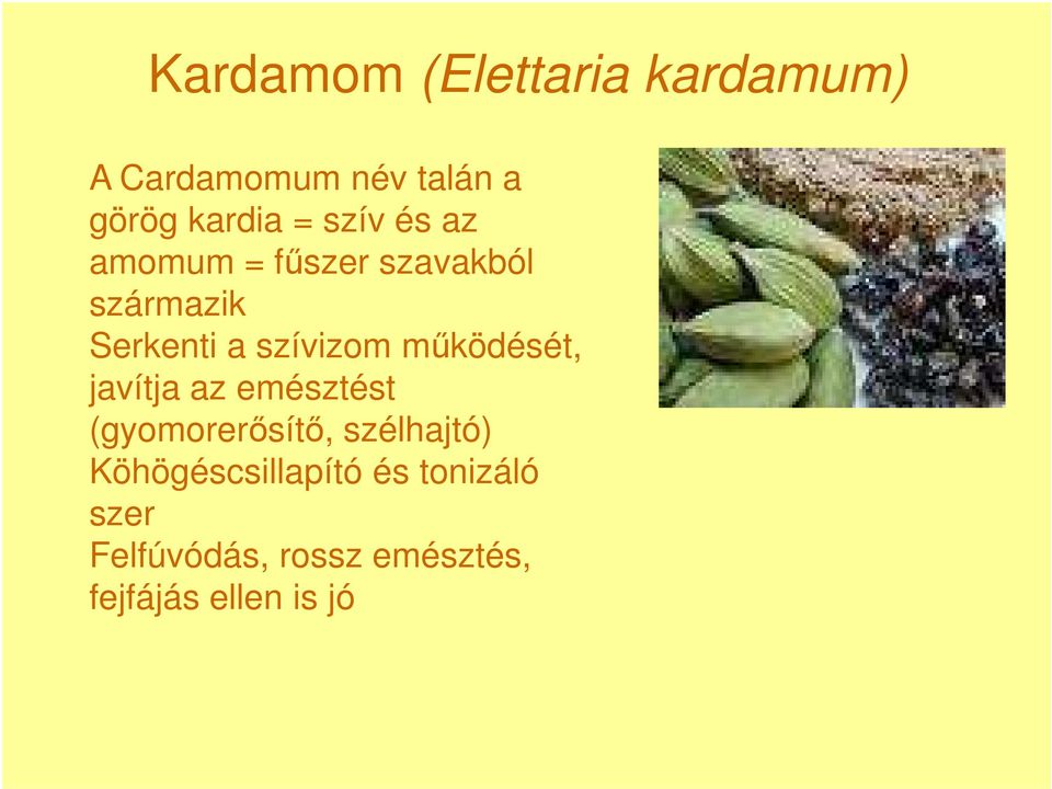 mőködését, javítja az emésztést (gyomorerısítı, szélhajtó)