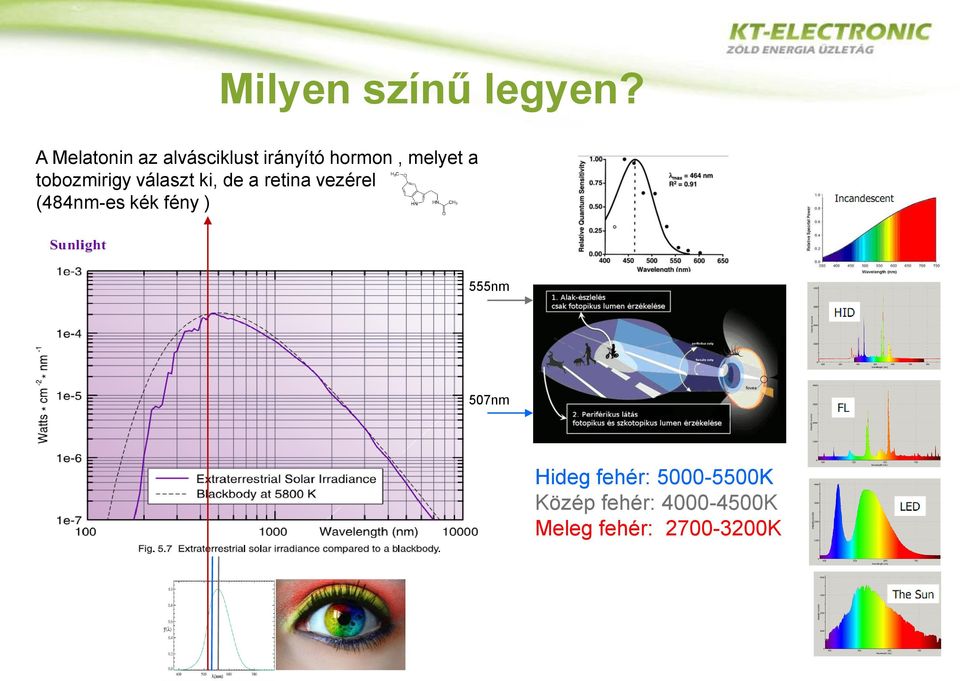 tobozmirigy választ ki, de a retina vezérel (484nm-es