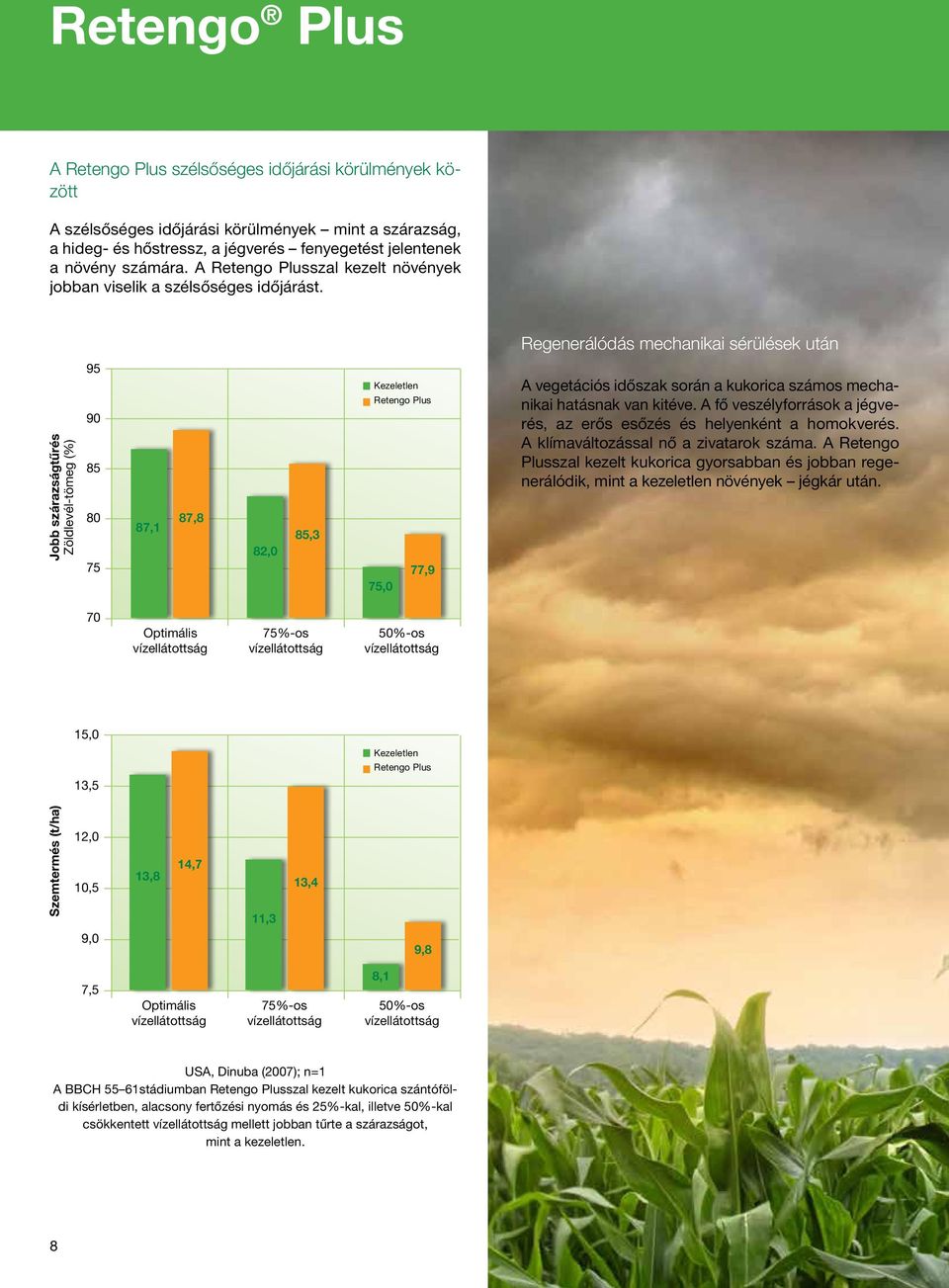 Regenerálódás mechanikai sérülések után Jobb szárazságtűrés Zöldlevél-tömeg (%) 95 90 85 80 75 87,1 87,8 82,0 85,3 Retengo Plus 77,9 75,0 A vegetációs időszak során a kukorica számos mechanikai