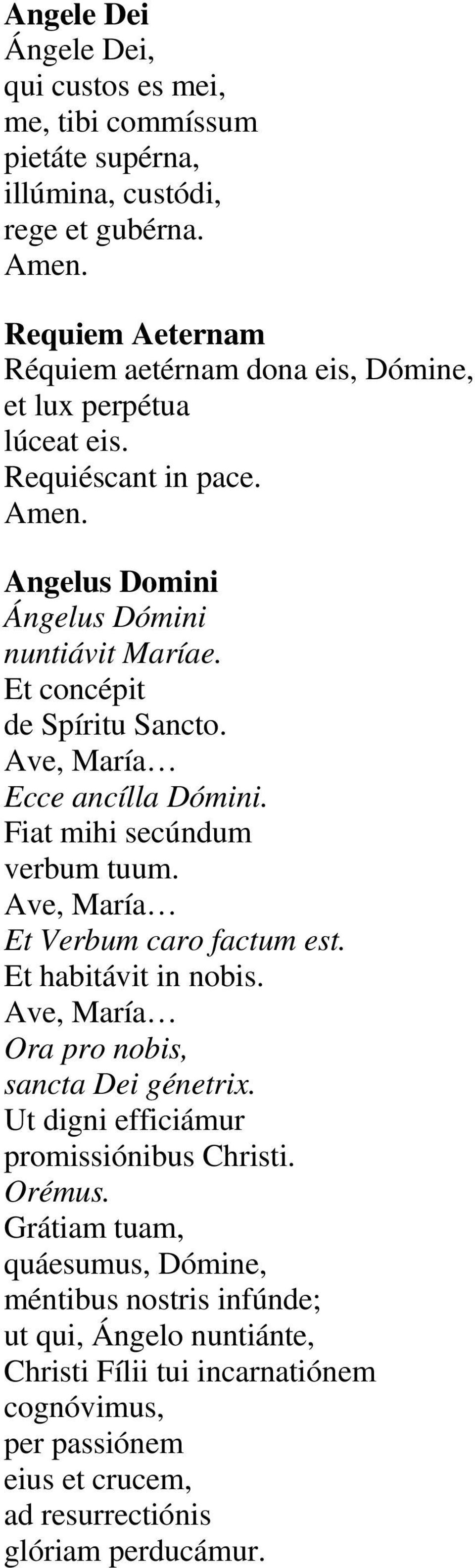 Ave, María Ecce ancílla Dómini. Fiat mihi secúndum verbum tuum. Ave, María Et Verbum caro factum est. Et habitávit in nobis. Ave, María Ora pro nobis, sancta Dei génetrix.