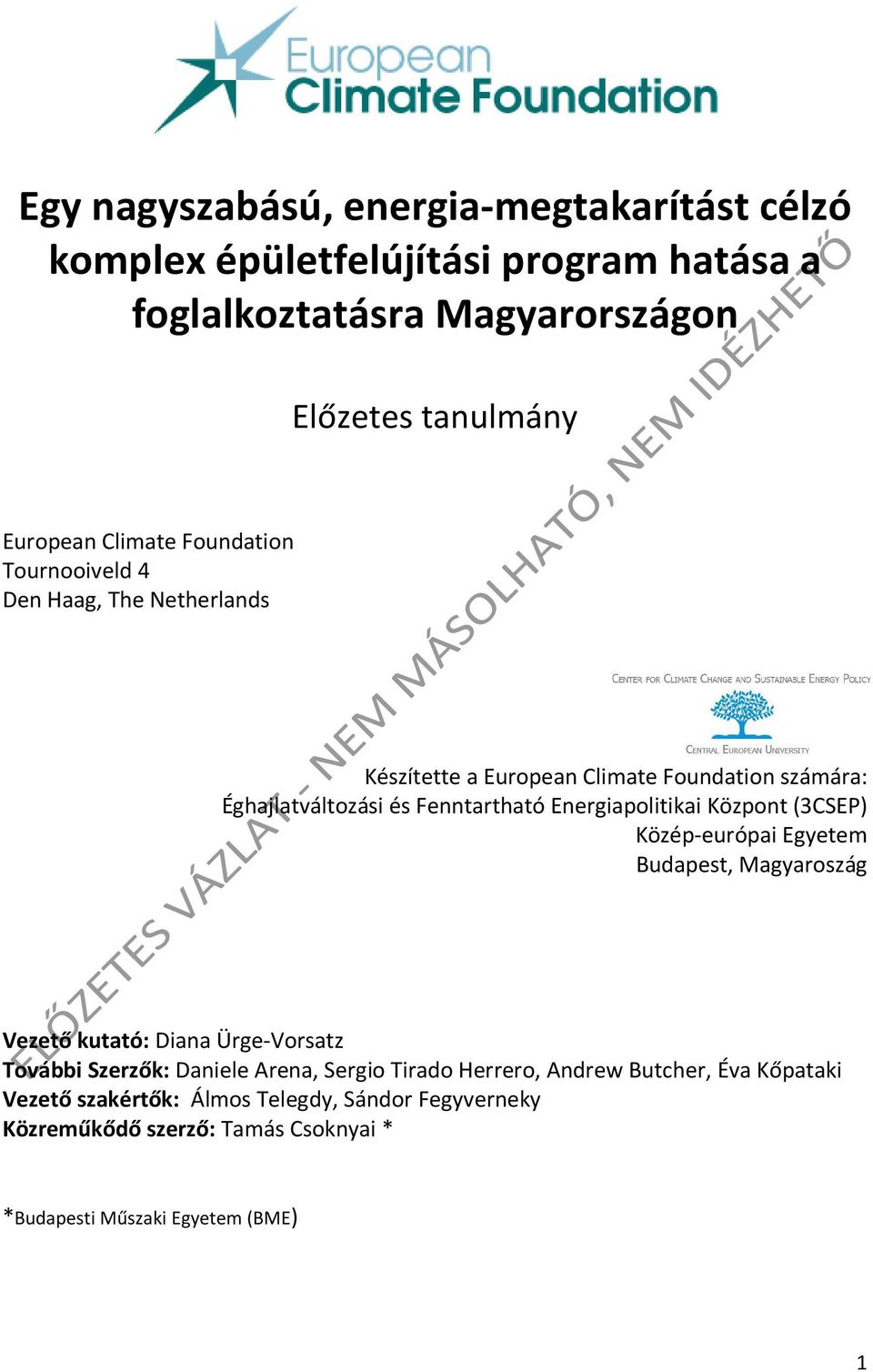 Energiapolitikai Központ (3CSEP) Közép-európai Egyetem Budapest, Magyaroszág Vezető kutató: Diana Ürge-Vorsatz További Szerzők: Daniele Arena, Sergio