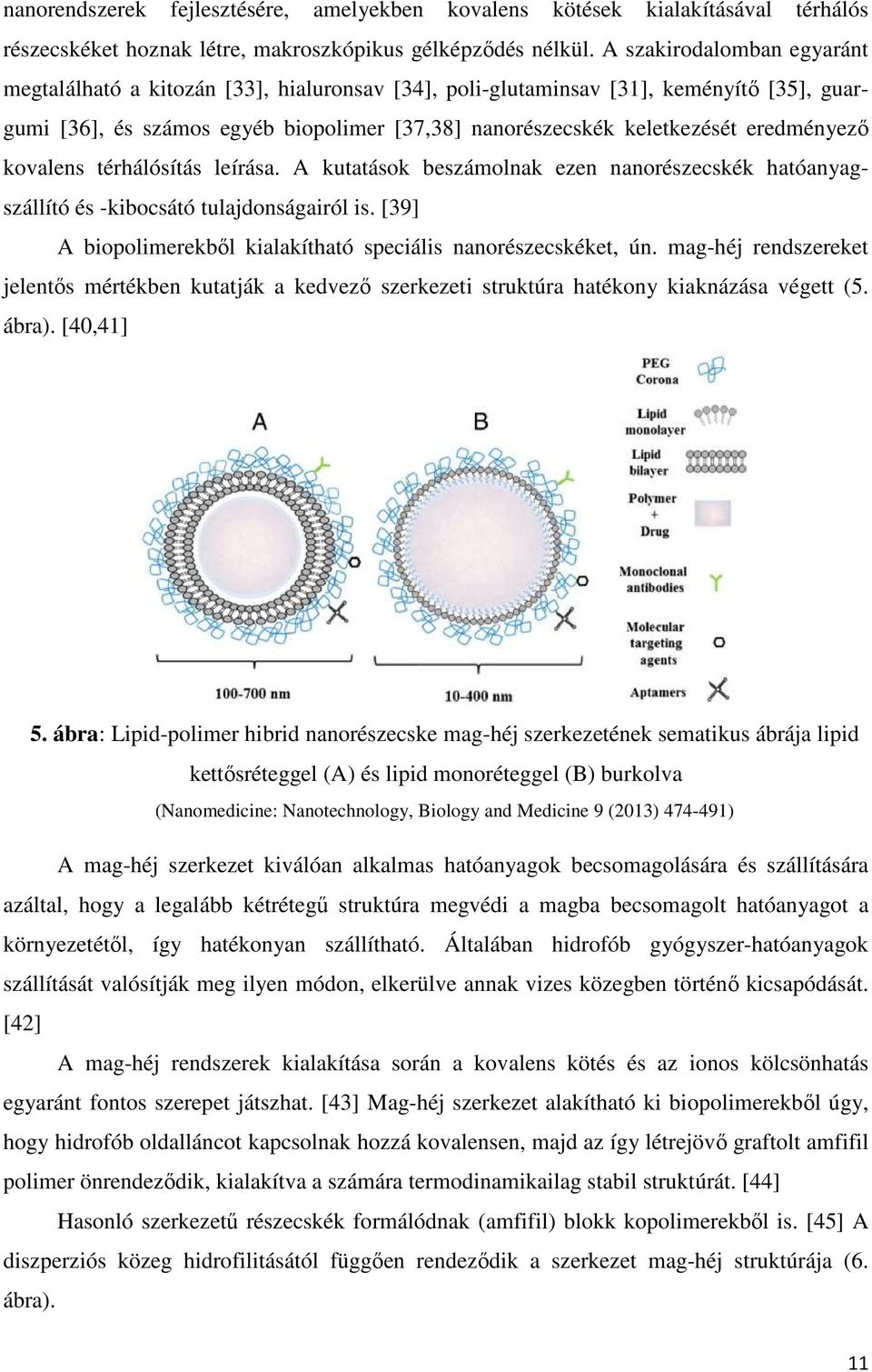 eredményező kovalens térhálósítás leírása. A kutatások beszámolnak ezen nanorészecskék hatóanyagszállító és -kibocsátó tulajdonságairól is.